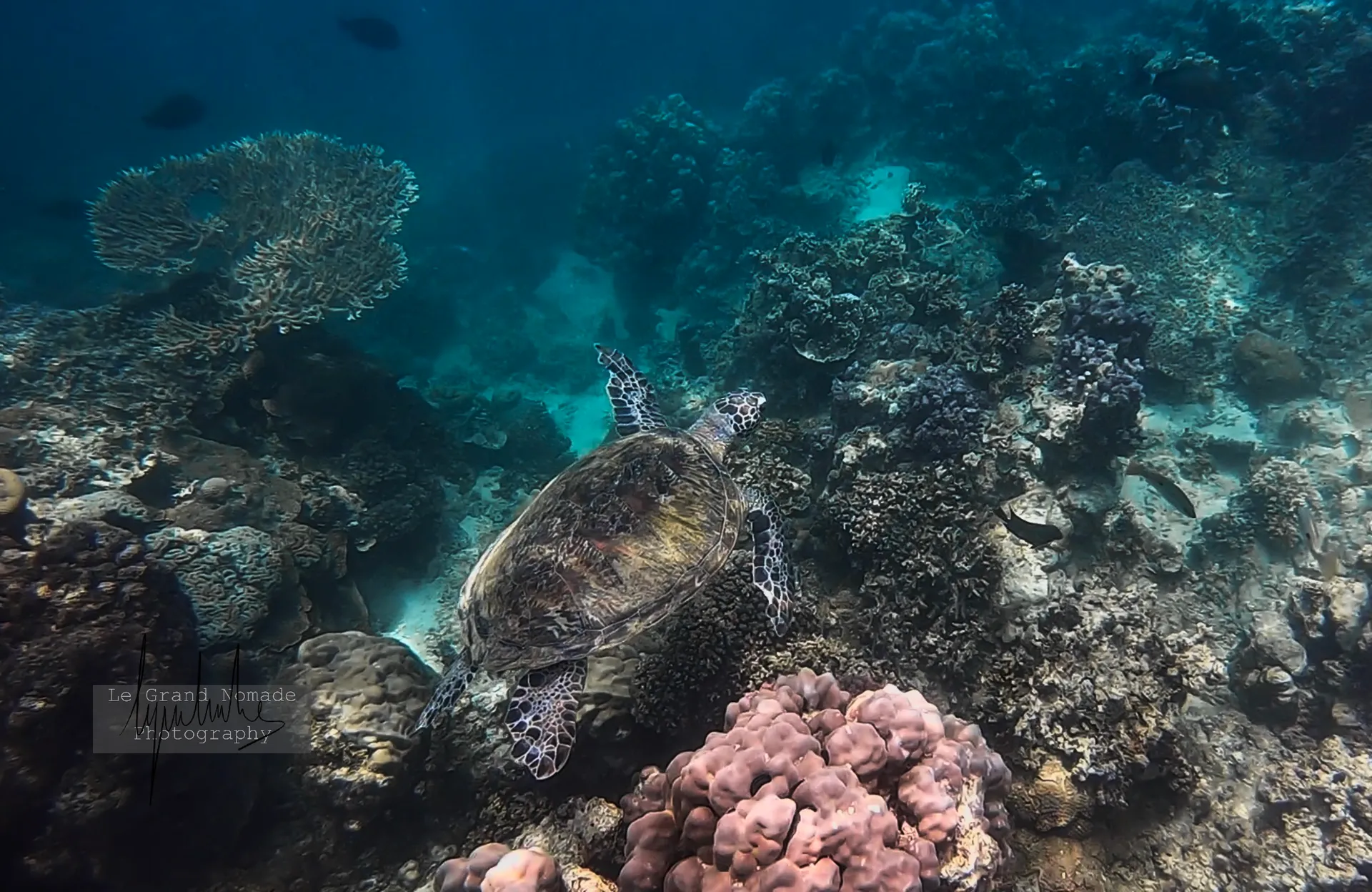 Plage des Sables Blancs 5